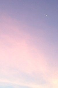 防守稳固，球队零封对手赢得胜利