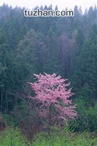 切尔西霸气昂扬，日进斗金一风教室