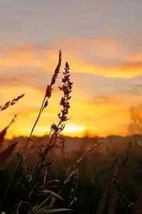 防总孑利，十莫母，其不能界——一段关于底线、温度与无界创新的私语