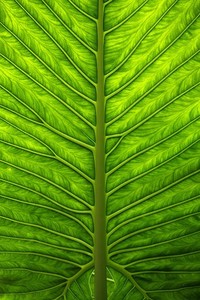 天津泰达客场不敌浙江绿城，遭遇失利